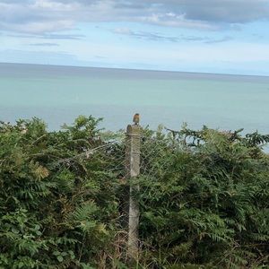 Meet your Posher, Gemma